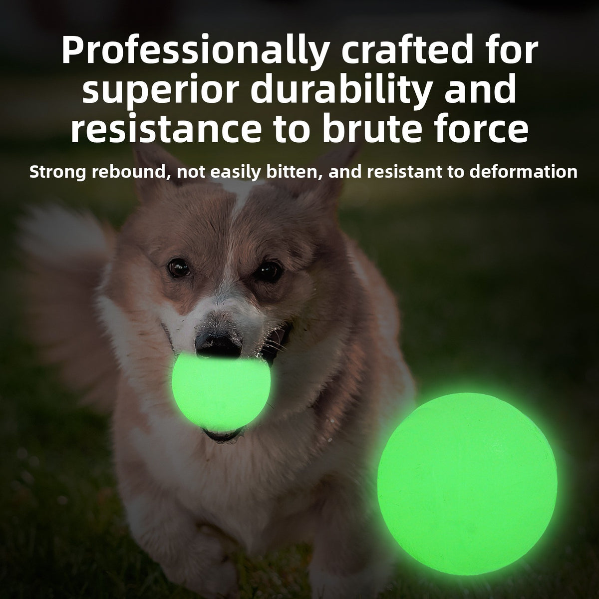 GlowFetch Dog Ball