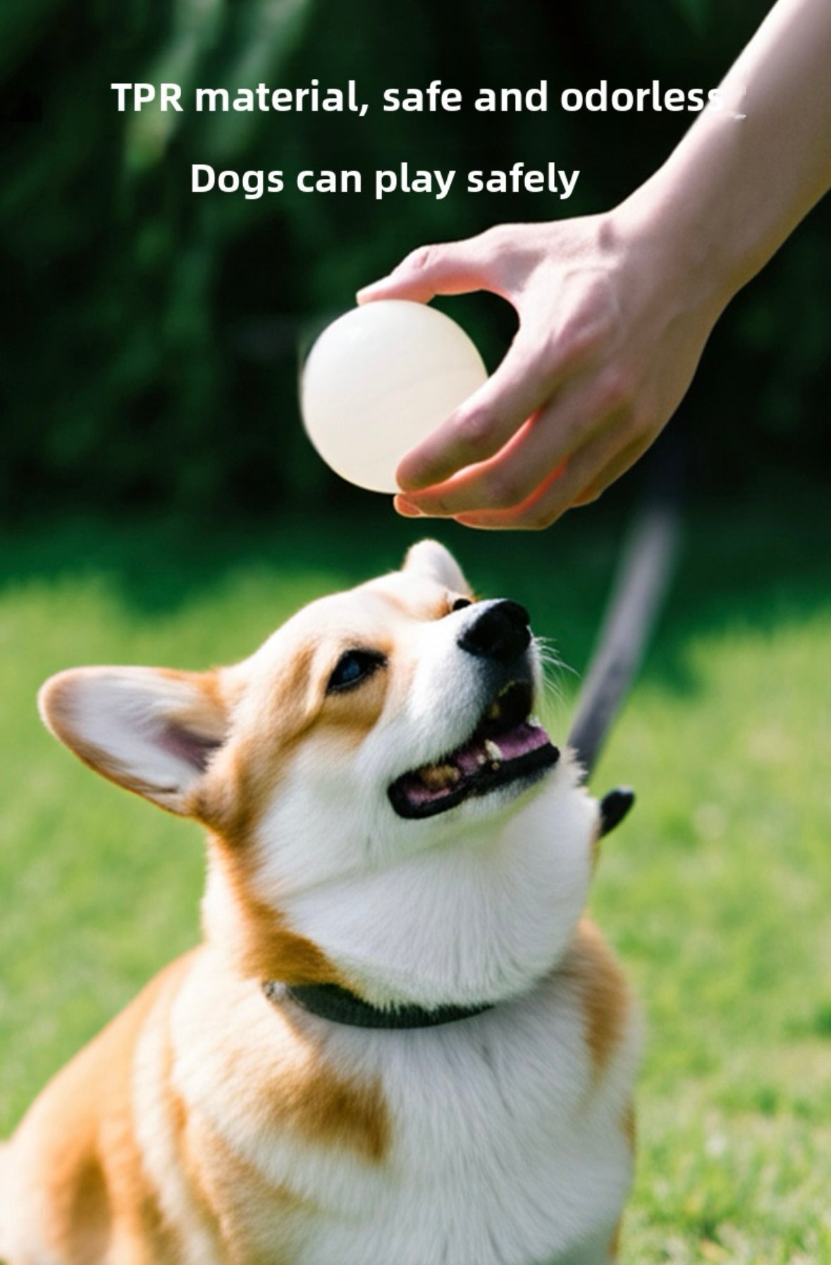 GlowFetch Dog Ball